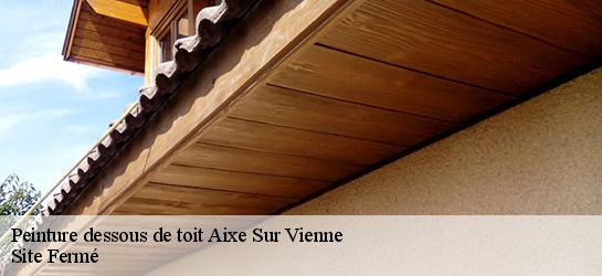 Peinture dessous de toit  87700