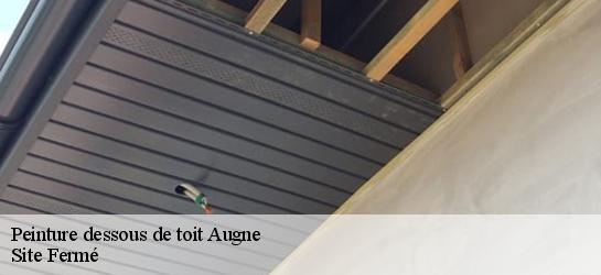 Peinture dessous de toit 87120