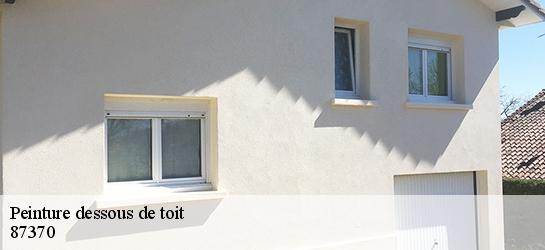 Peinture dessous de toit  87370