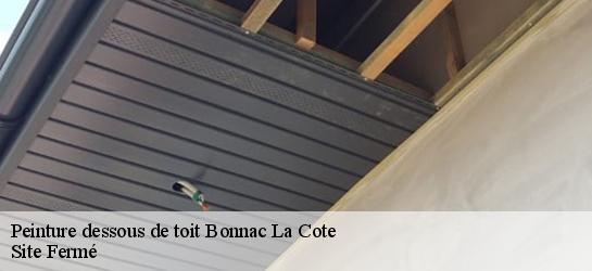 Peinture dessous de toit 87270