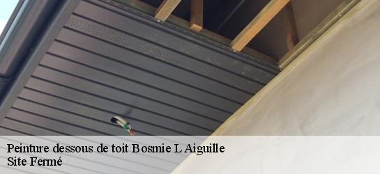 Peinture dessous de toit 87110