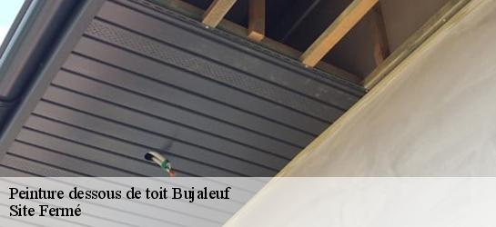 Peinture dessous de toit 87460