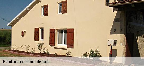 Peinture dessous de toit 87460