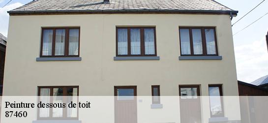 Peinture dessous de toit 87460