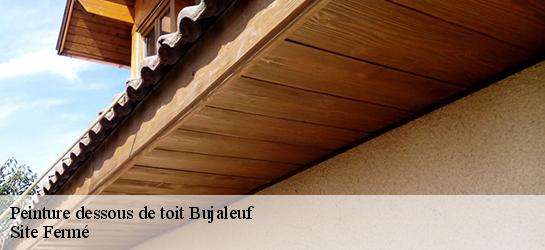 Peinture dessous de toit 87460