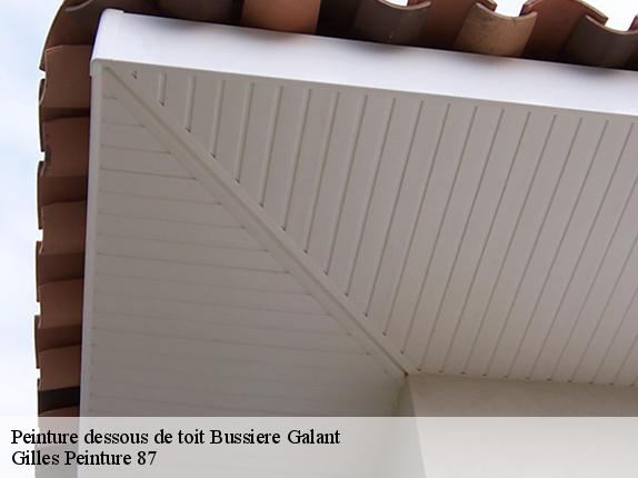 Peinture dessous de toit  bussiere-galant-87230 Gilles Peinture 87