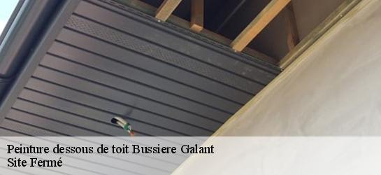 Peinture dessous de toit 87230