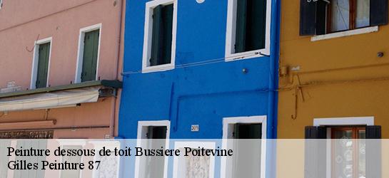 Peinture dessous de toit 87320