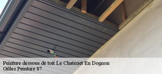 Peinture dessous de toit 87400