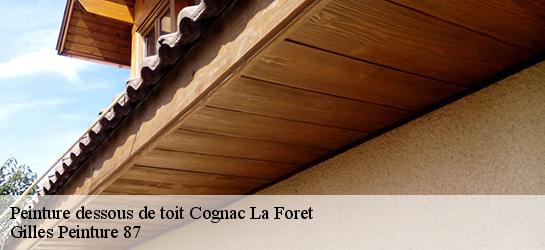 Peinture dessous de toit 87310