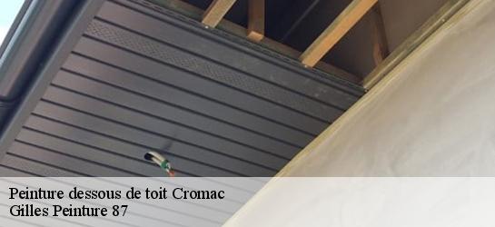Peinture dessous de toit 87160