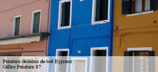 Peinture dessous de toit  87220