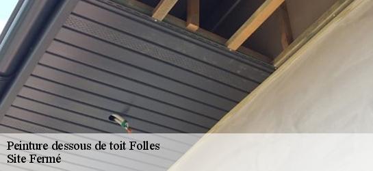 Peinture dessous de toit 87250