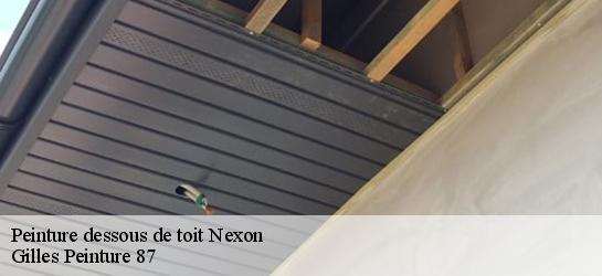 Peinture dessous de toit  87800