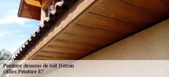 Peinture dessous de toit  87800