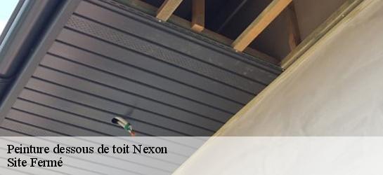 Peinture dessous de toit  87800