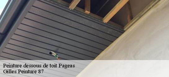 Peinture dessous de toit 87230
