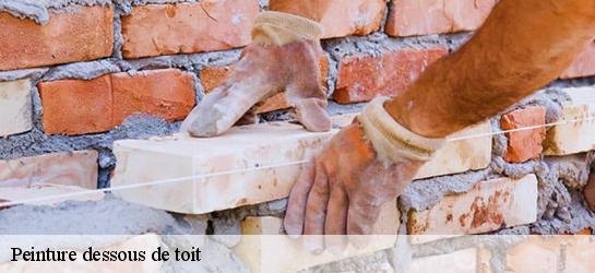 Peinture dessous de toit 87230