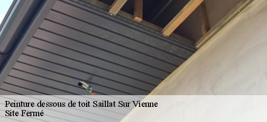 Peinture dessous de toit 87720