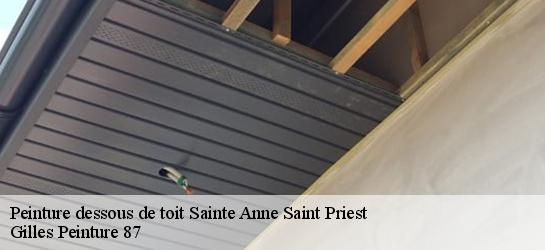 Peinture dessous de toit  87120