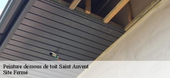 Peinture dessous de toit 87310