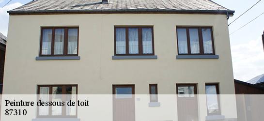 Peinture dessous de toit 87310