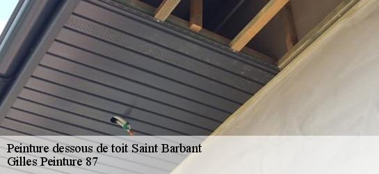 Peinture dessous de toit  87330