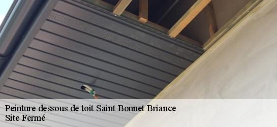 Peinture dessous de toit 87260