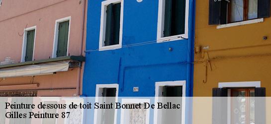 Peinture dessous de toit 87300
