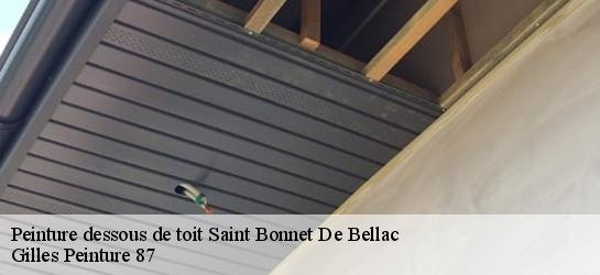 Peinture dessous de toit  87300