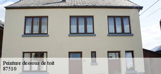 Peinture dessous de toit 87510