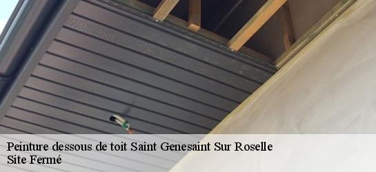 Peinture dessous de toit  87260