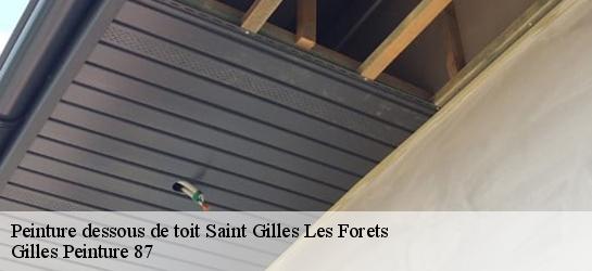 Peinture dessous de toit  87130