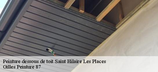 Peinture dessous de toit 87800