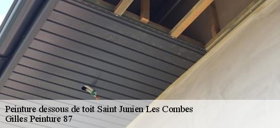 Peinture dessous de toit  87300