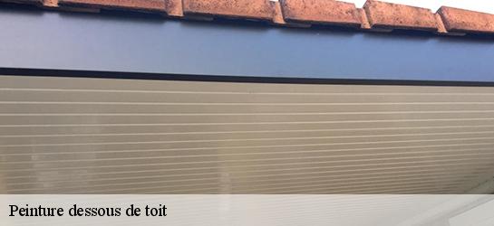 Peinture dessous de toit 87420