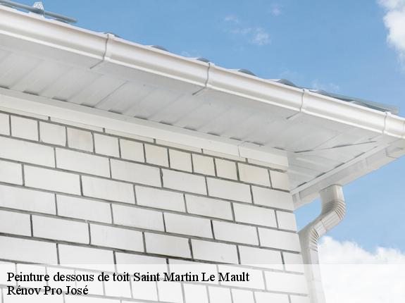 Peinture dessous de toit  saint-martin-le-mault-87360 Rénov Pro José
