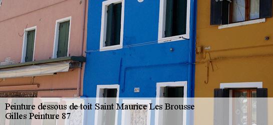 Peinture dessous de toit 87800