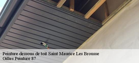 Peinture dessous de toit  87800