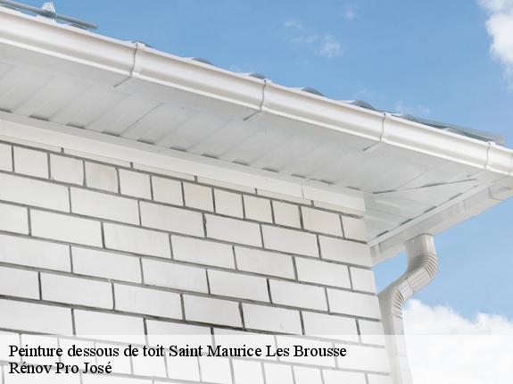 Peinture dessous de toit  saint-maurice-les-brousse-87800 Rénov Pro José