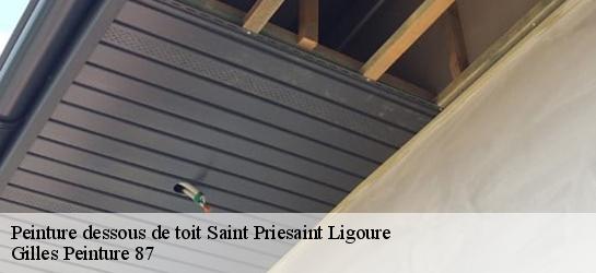 Peinture dessous de toit  87800