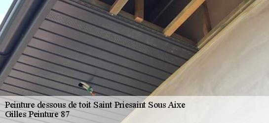 Peinture dessous de toit  87700