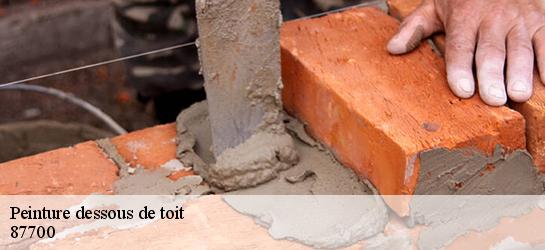 Peinture dessous de toit 87700