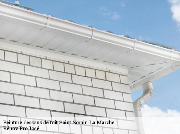 Peinture dessous de toit  saint-sornin-la-marche-87210 Rénov Pro José