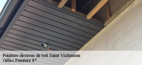 Peinture dessous de toit  87420