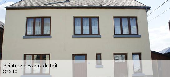 Peinture dessous de toit 87600