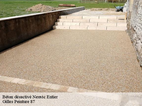 Béton désactivé 87130