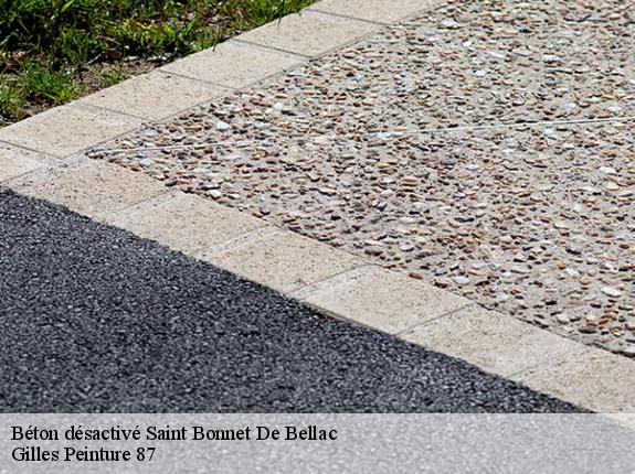 Béton désactivé 87300