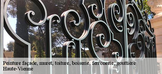 Peinture façade, muret, toiture, boiserie, ferronerie, gouttière Haute-Vienne