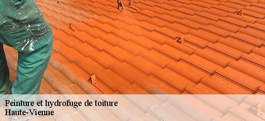 Peinture et hydrofuge de toiture Haute-Vienne 
